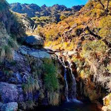 Merlo – Finde largo